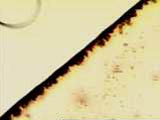 Linear acetylenic carbon