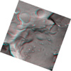 freeze-fractured yeast cell