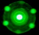 Pleurosigmagreenfilter.jpg